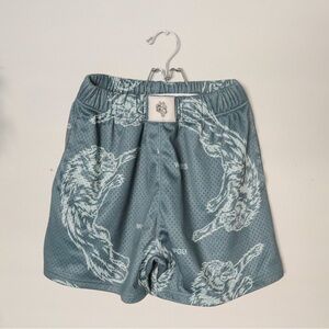 Darc Sport Men’s mesh shorts size Small dark green teal